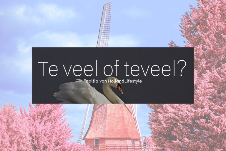 Te veel of teveel